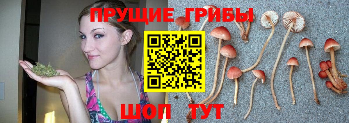 Рыбинск  Псилоцибиновые грибы Psilocybine cubensis  Галлюциногенные грибы Cubensis  Вход с VPN 