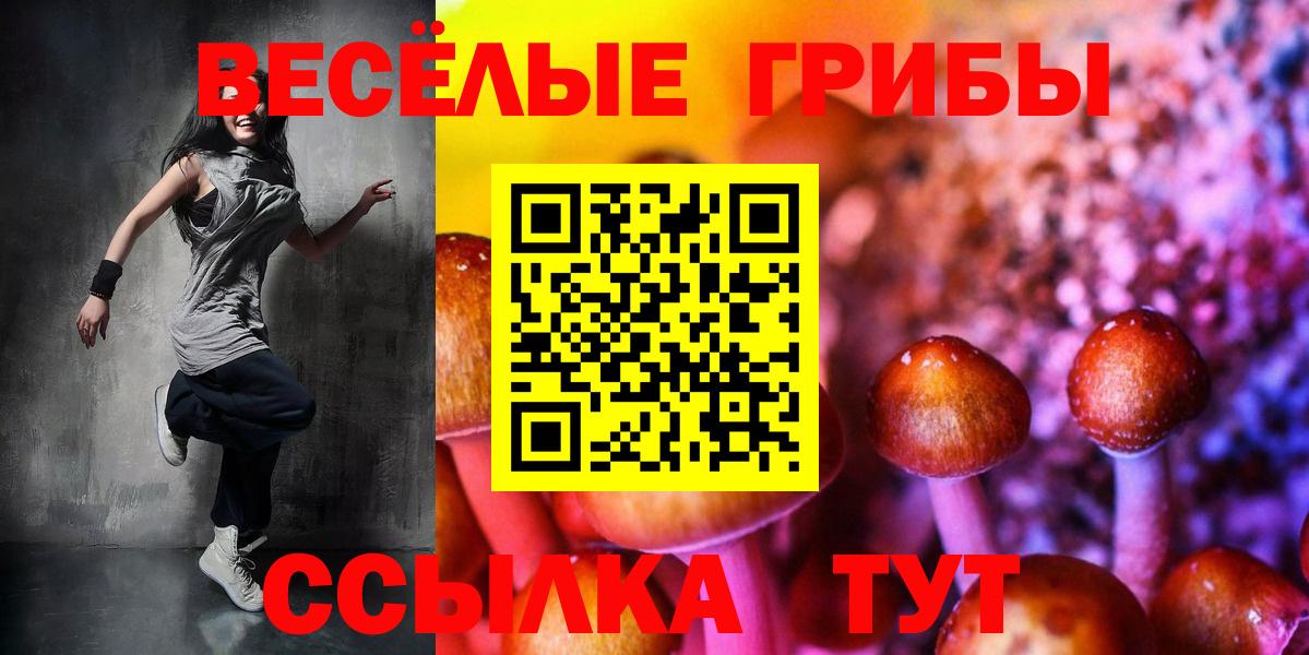 Псилоцибиновые грибы Psilocybine cubensis Рыбинск
